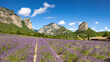 Blooming lavender fields and mountains in summer with nearby village of Saou. Department of Drome. South of France