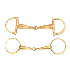 Watercolor illustration of golden snaffle, bit with D-Ring and circle rings. Equipment for horse riding set. Isolated. For cards, prints, decor