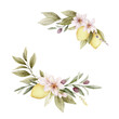 Floral wreath of lemon and olive. Watercolor vector illustration isolated on white. Greenery clipart for greeting cards, decoration, wedding invitation, stationery design.