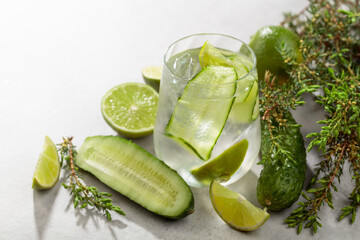 Wall Mural - Cocktail Gin-tonic with ice, lime, cucumber, and juniper branches.