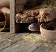Rat in an old wooden barn.