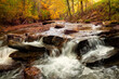 autumn forest with a river cascading water among the stones. Long exposure.