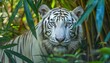 A rare white tiger stalking through dense bamboo, eyes fixed on an unseen prey
