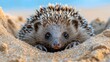   A hedgehog emerges from its burrow in a sandy expanse, against a backdrop of a clear blue sky