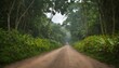 A jungle road bordered by dense vegetation and vib upscaled 2