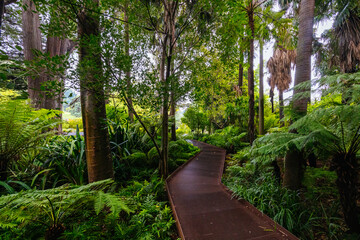 Canvas Print - Royal Botanic Gardens in Melbourne Australia