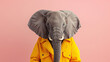 Portrait of stylish funny elephant in yellow suit on a pink background, animal, creative concept