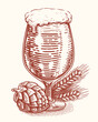Drawing of glass of beer, hops and ears of wheat in engraving style. Pub, brewery concept. Clipart sketch