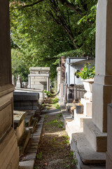 Wall Mural - old cemetery in the city