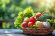 basket with fresh vegetables on wooden table outdoors, harvest, vegetable garden, closeup