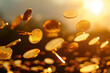 multitude of coins suspended in mid air with a warm sunlit backdrop