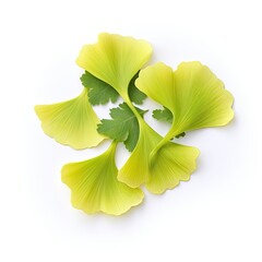 Wall Mural - Ginkgo BIloba