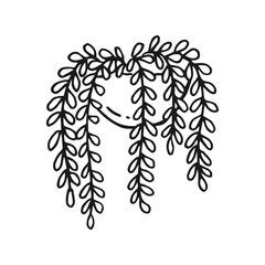 Wall Mural - House plant. Hand drawn vector illustration.