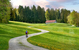 Fototapeta Natura - pretty senior woman riding her electric mountain bike in  springtime in the Allgau mountains near Oberstaufen,  with blooming yellow blooming Dandelion flowers in the Foreground, Bavaria, Germany