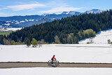 Fototapeta Natura - active senior woman riding her electric mountain bike on a sunny day in  spring with Dandelion flowers on the meadows below snow capped mountains of Nagelfluh chain near Oberstaufen, Allgaeu, Germany