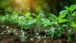 © MAY - Smart garden sensors monitoring soil moisture and sunlight levels, optimizing plant growth