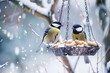 Two great tits eat from a feeder with peanuts in winter helping them survive