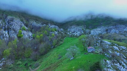 Wall Mural - Cabins, meadows and beech forests in Los Machucos at 921 meters above sea level and communicates the villages of Bustablado and San Roque de Riomiera. Pasiegos Valleys, Cantabria, Spain, Europe