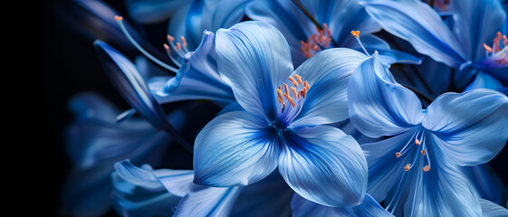 Wall Mural - Blue flower background with vibrant color