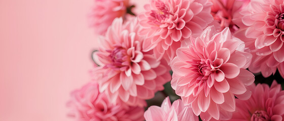 Poster - Pink flower background with vibrant color