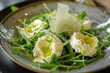 © LimeSky - Organic rocket salad with goat cheese