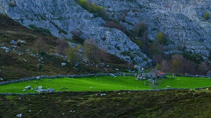 Wall Mural - Spring landscape of meadows, forests and rocks in the Ason Natural Park. Soba Valley, Cantabria, Spain, Europe