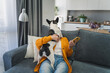 Elderly Caucasian woman hugging her pet French bulldog while sitting on the sofa at home, love for pets