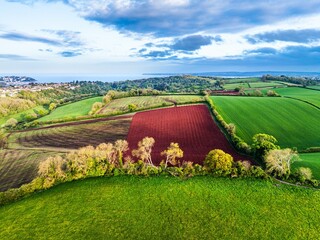 Poster - Fields and Farms over Torquay from a drone,, Devon, England, Europe