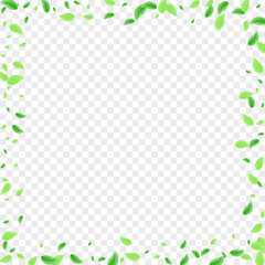 Wall Mural - Green Leaves Background Transparent Vector. Vegetation Border Illustration. Vivid Card. Greenish Grow Texture. Sheet Element.