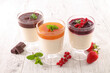 panna cotta with berries fruits, chocolate and apricots sauce