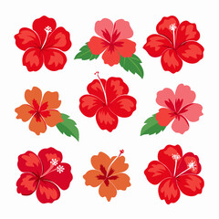 Sticker - minimal Hibiscus flower set vector art illustration  (27)