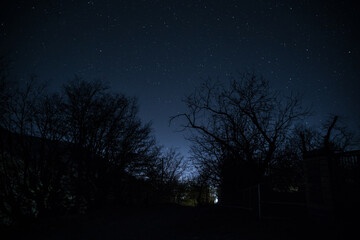 Wall Mural - mountain road through the forest on a full moon night. scenic night landscape of country road at nig