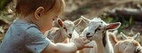 a child strokes a small goat