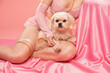 A young beautiful girl in a pink dress with a white small dog on a pink background.