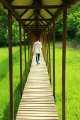 Wall Mural - A person walking on a wooden bridge