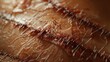 Detailed view of hairy piece of meat, suitable for food safety awareness campaigns