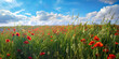 poppy field with sky, ai generated