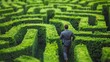 © Login - A male businessman is walking through a maze of hedges. The hedges are tall and green and the man is dressed in a suit. Surreal scene. Illustration for cover, card, poster, brochure or presentation.