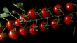 Tomates no galho - wallpaper HD