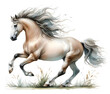 Horse. Watercolor. A strong  white stallion. The mane and tail develop beautifully. Banner. Isolated illustration on a white background.  Close-up
