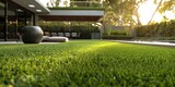 Fototapeta Miasto - A lush green lawn with a black bowl and a patio area with a pool