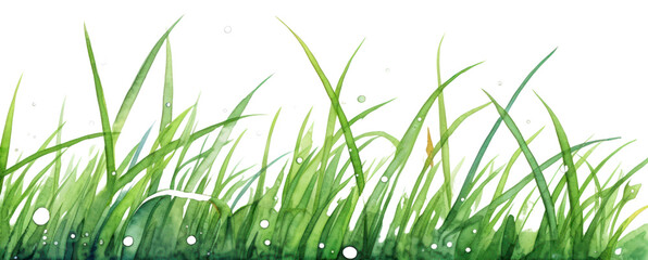 Wall Mural - PNG Grass plant green lawn.