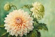 Oil painting with Dahlia flowers 