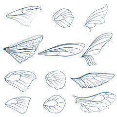 Poster -  Big collection of vector butterfly wings