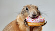 Savoring Donuts: Prairie Dog Indulgence