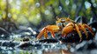 Photo realistic of Mangrove Crabs Climbing Tree Roots for Protection and Food in Intricate Mangrove Network - Stock Photo Concept