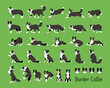 © MINIWIDE - Border Collie A set of various movements and views.