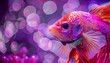 A closeup halfbody of a charismatic fish donned in a shiny sequin dress, illuminated against a deep purple, colorful strange bizarre sharpen blur background with copy space