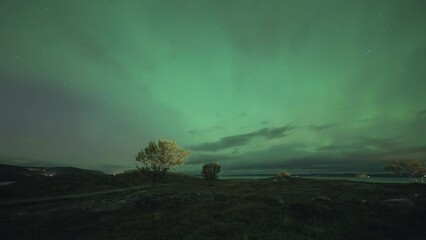 Wall Mural - A spectacular dance of Aurora Borealis in the dark winter sky.