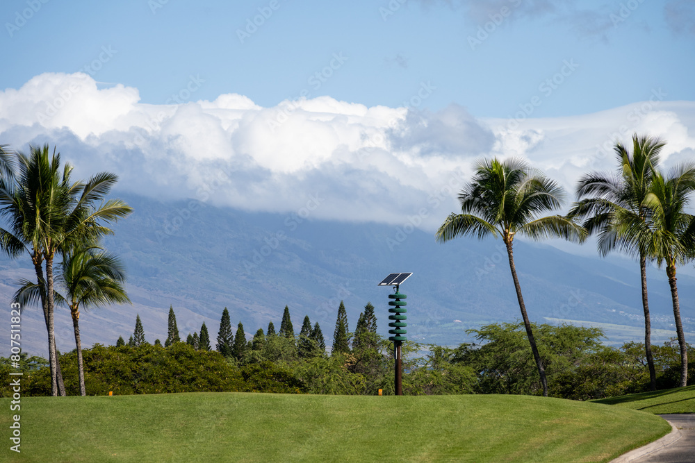 Tsunami alert hawaii maui